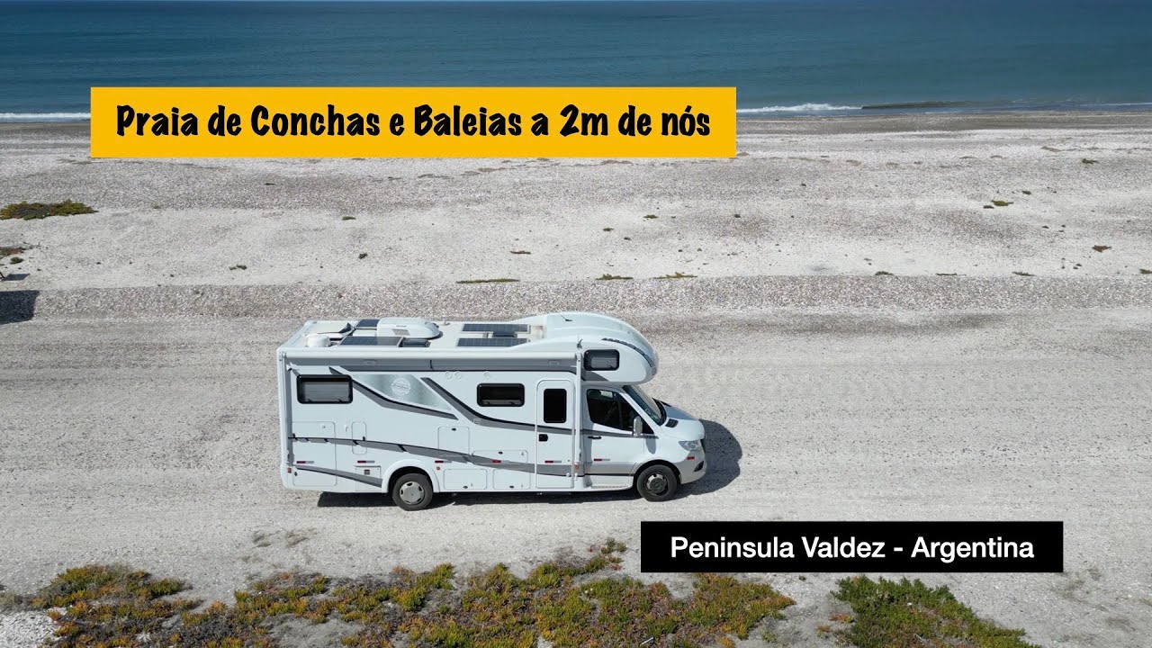Peninsula Valdez: Praia de conchas e baleias a 2 metros de nós. Uma das experiências mais incríveis