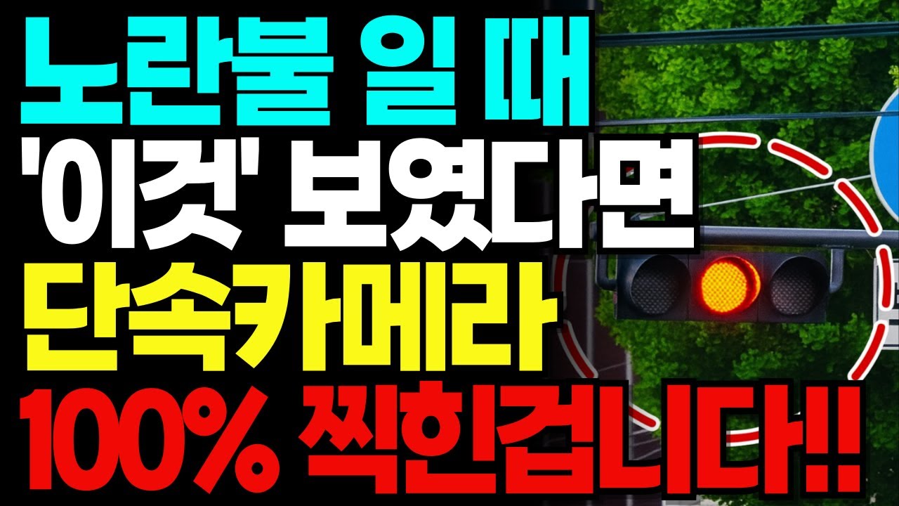 노란불에 멈췄는데도 단속? 신호위반 카메라 100% 찍히는 순간｜루프센서·속도 오차·eFINE 확인법 총정리｜시니어 운전자 필수정보