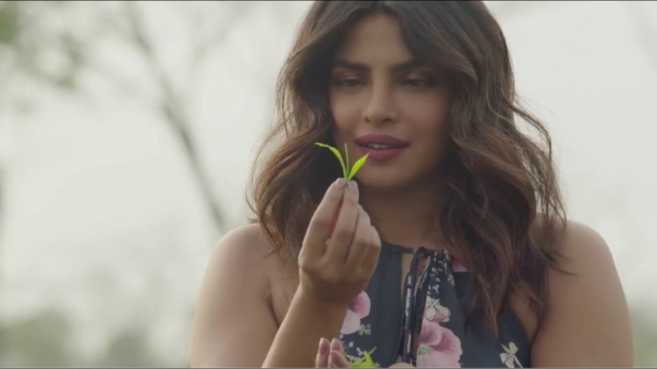 Awesome Assam | TVC featuring Priyanka Chopra | Assam Tourism | ATDC