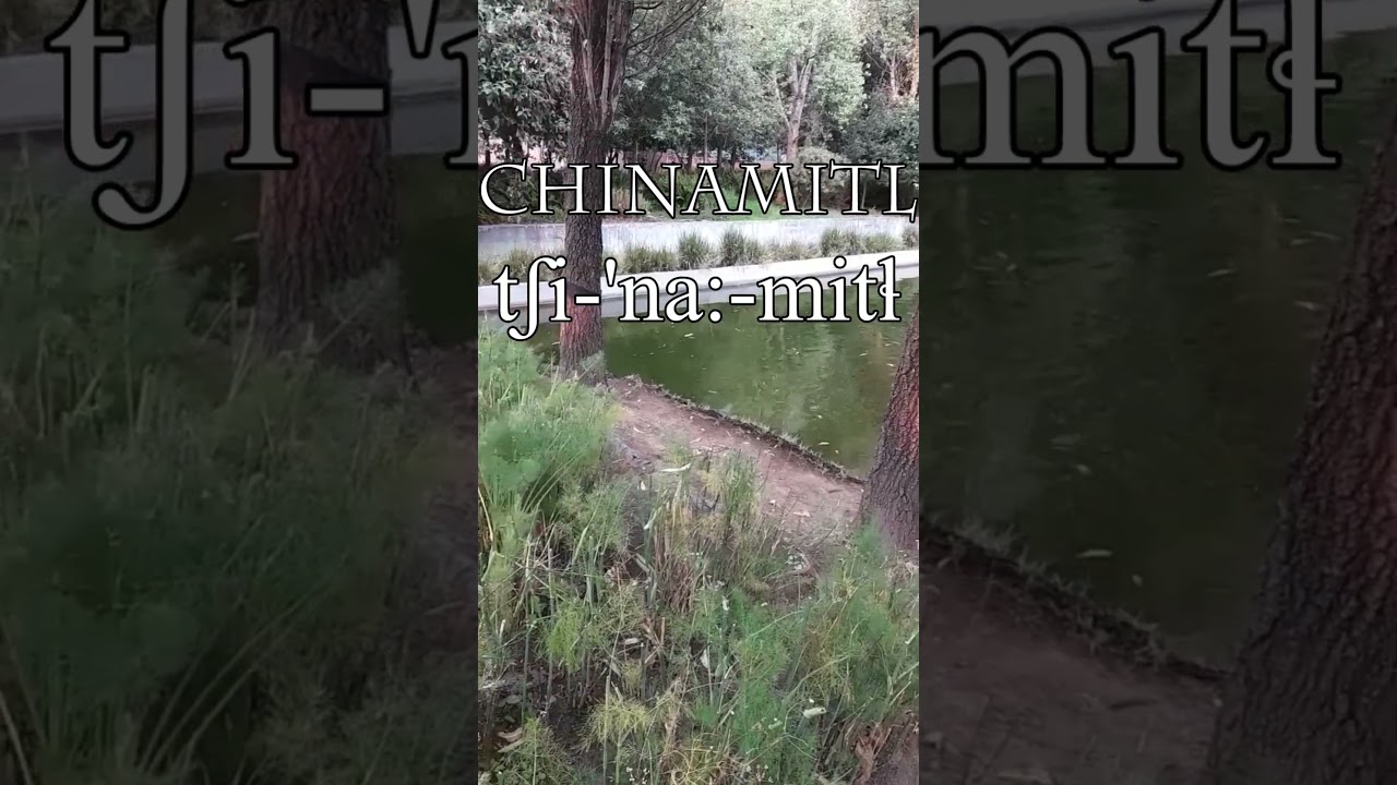 Nahuatl Word of the Week 149: CHINAMITL ('Raised Cane Chinampa Enclosure' 🌾)