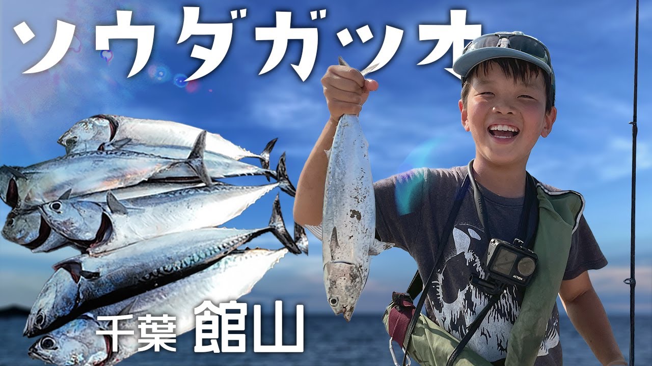 館山ソウダガツオ 今シーズン初！