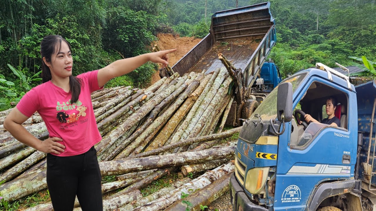 the driver and the girl driving a car carrying wood in the stream stormy day.
