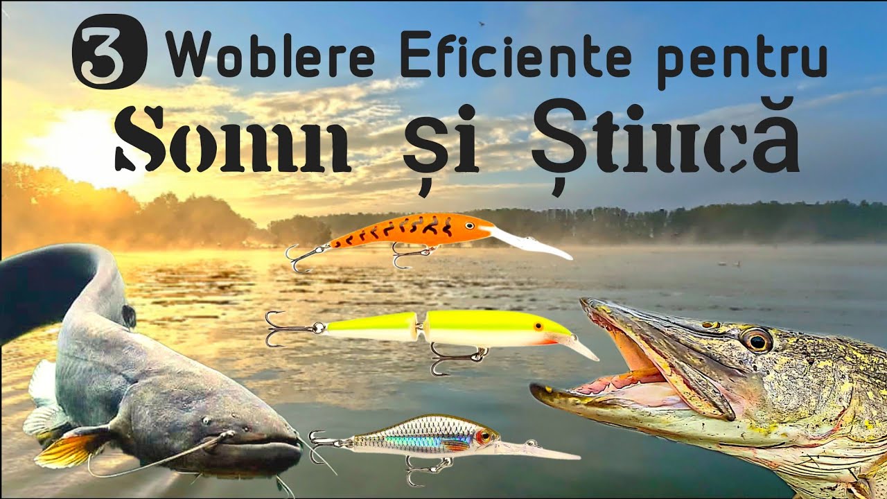 Top 3 #Woblere pentru #Pescuit la #Somn și #Știucă! 🎣🔥 #Rapala #Spinning
