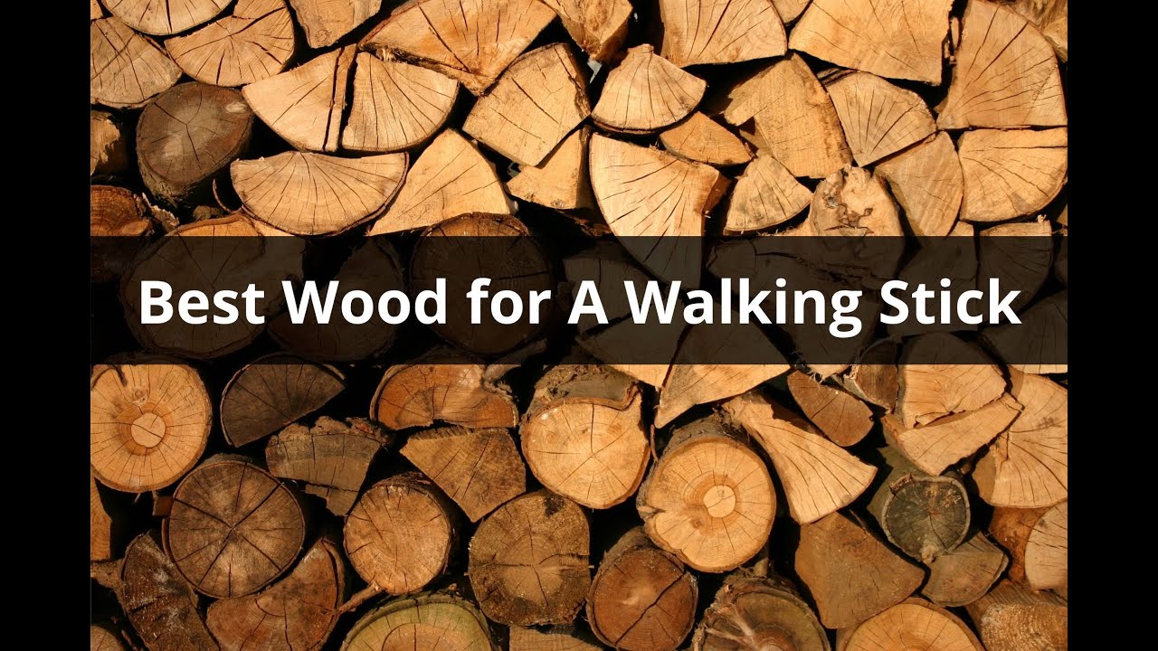Intro Best Wood For Walking Sticks |  RebelStick.com