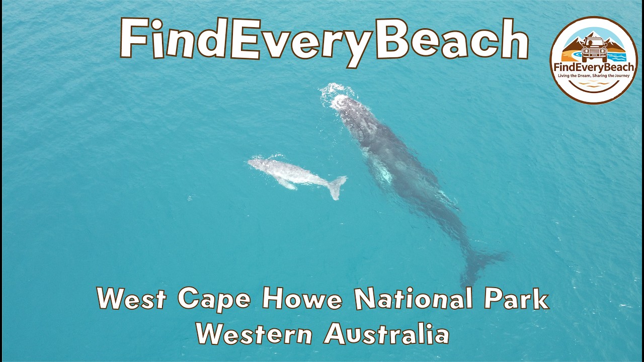 Whales, pristine beaches and great 4x4 trails = West Cape Howe National Park