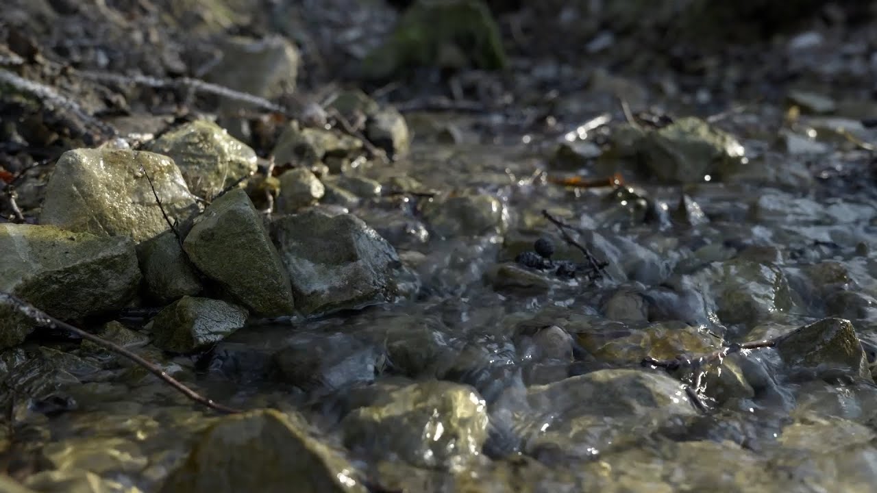 Źródła Lubelszczyzny - niedoceniany fenomen natury