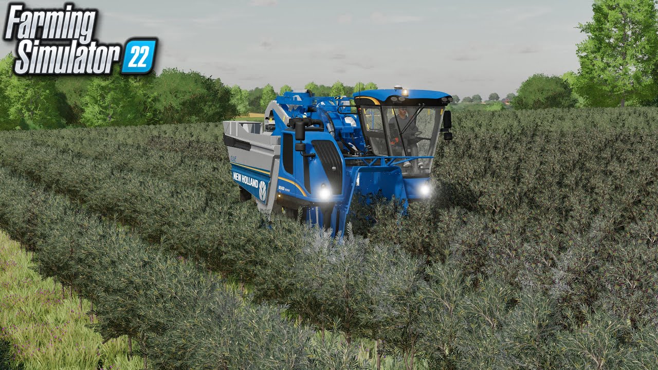How Long Will It Take To Harvest 100,000L of Olives? (Ohio Richlands) | Farming Simulator 22