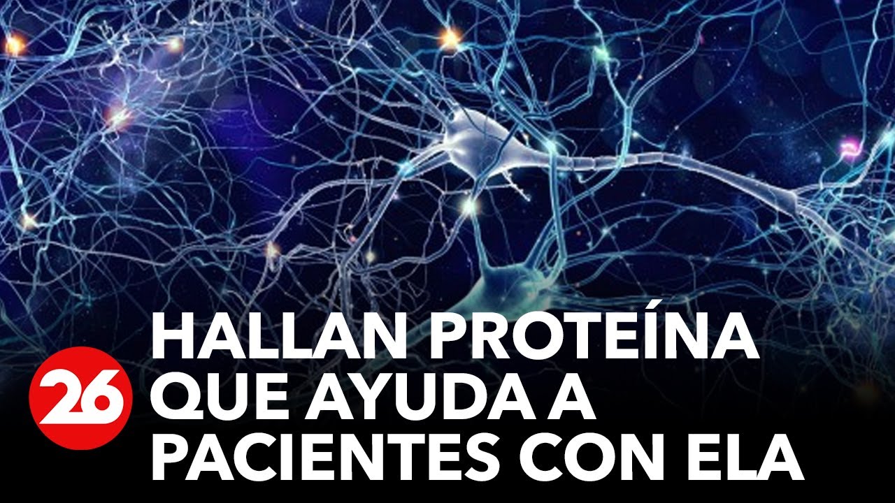 Avanza la ciencia: hallan prote&iacute;na que ayuda a pacientes con ELA
