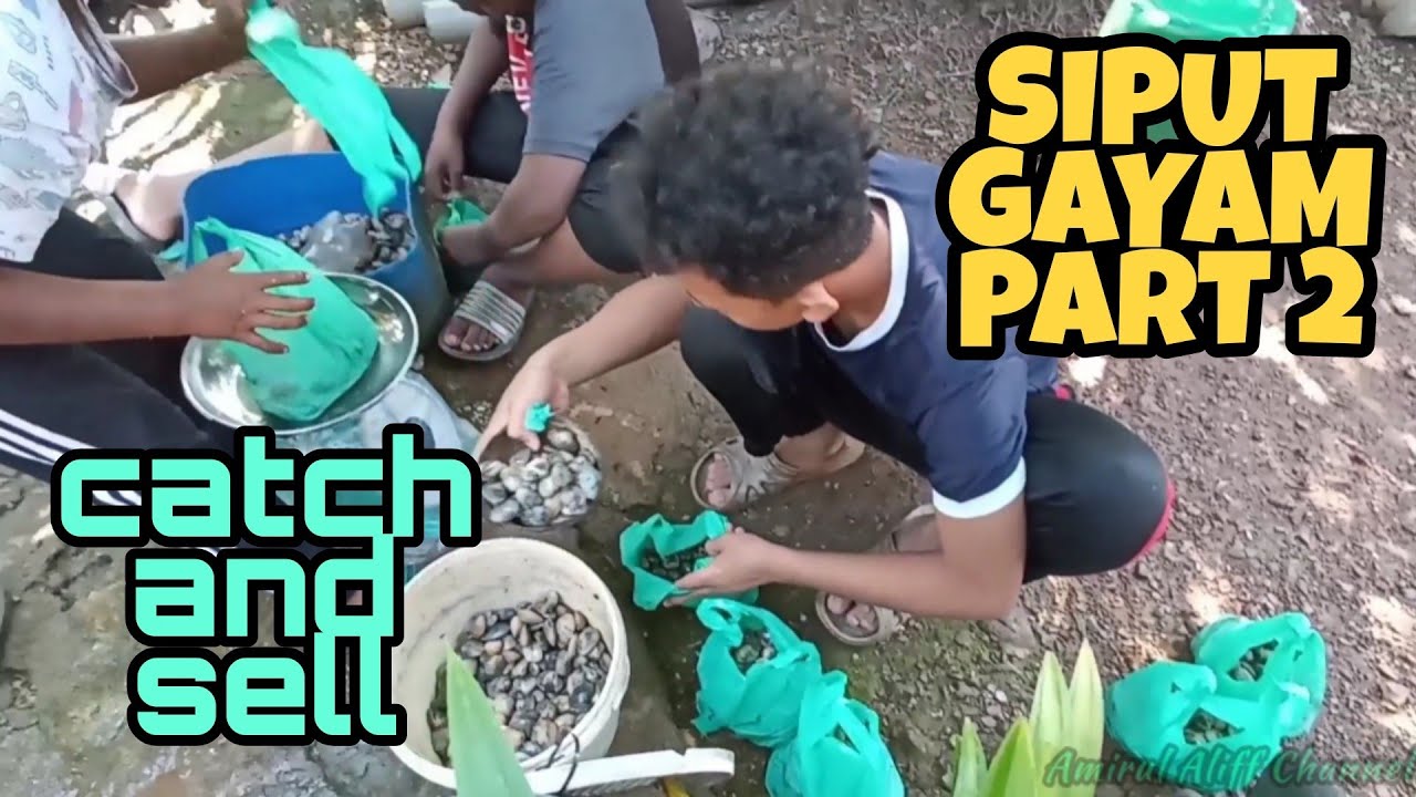 #EP466 Cari Siput Gayam guna Penutup Kipas - hasil terus dijual