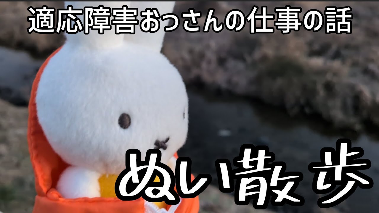 【適応障害】今までのお仕事の話【ぬい撮り】