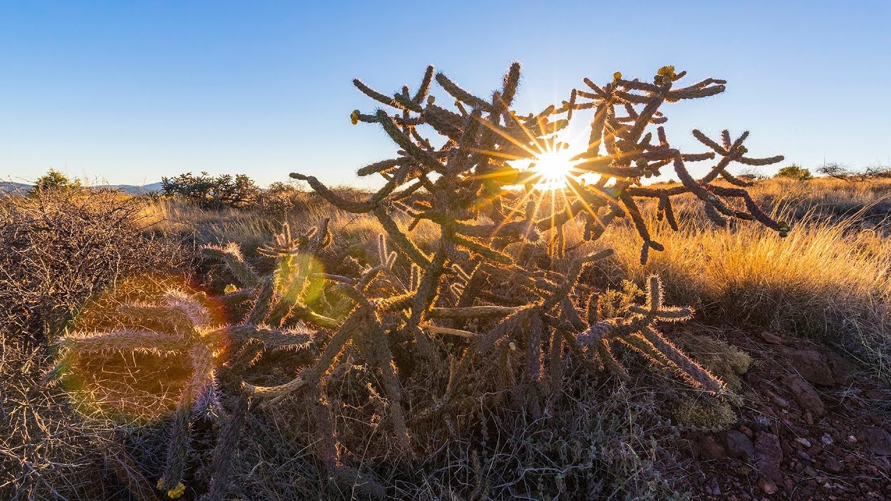Photography Tutorial: How To Get A Sun Star Effect In Camera