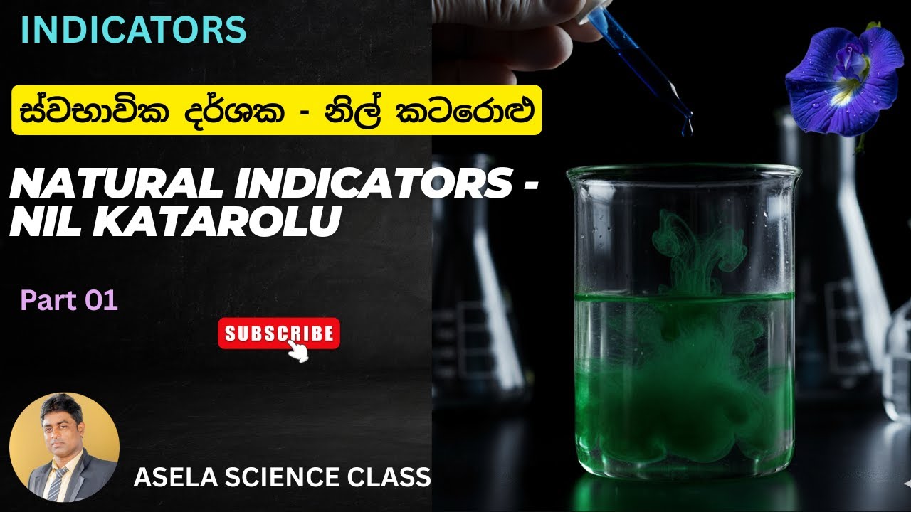 Natural pH Indicator Using Blue Cabbage | Easy Science Experiment ස්වභාවික දර්ශක-නිල් කටරොළු Part 01
