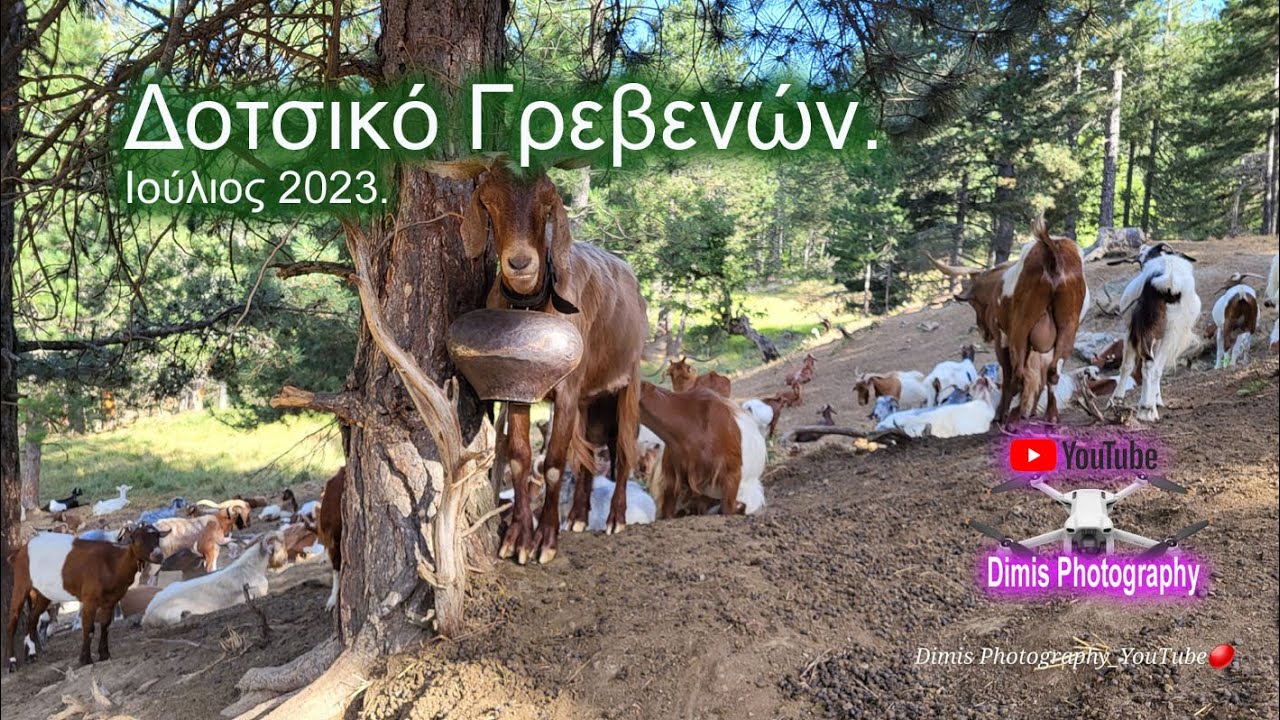 Στο Δοτσικό το καλοκαίρι του 2023.