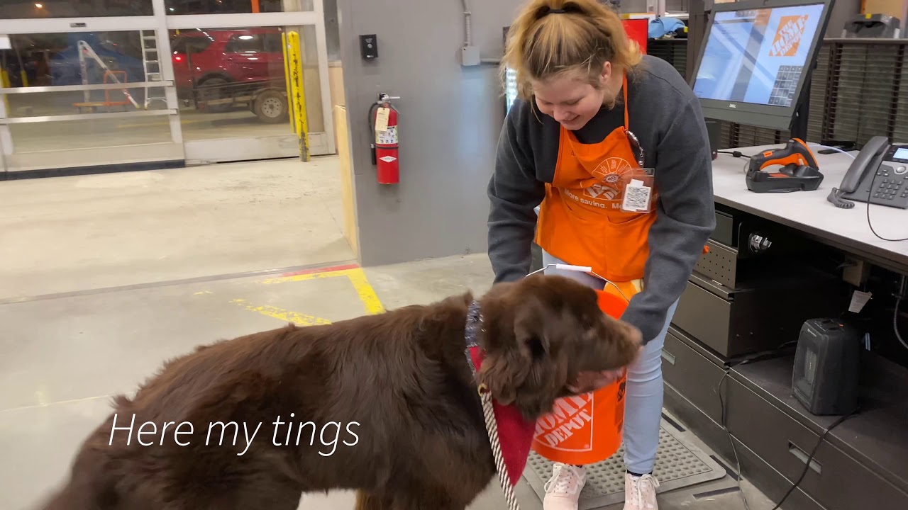 Boomer goes on a shopping spree!
