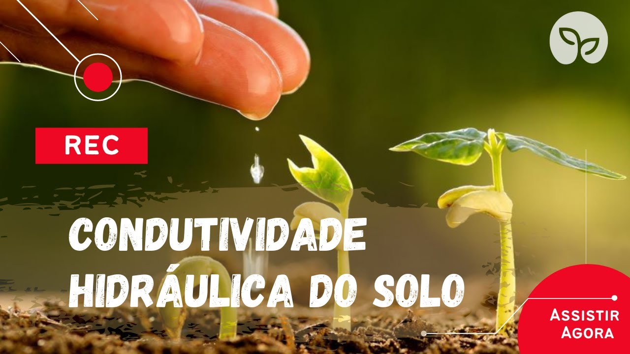 MANEJO ECOLÓGICO DO SOLO | Entenda como a água se comporta no solo.