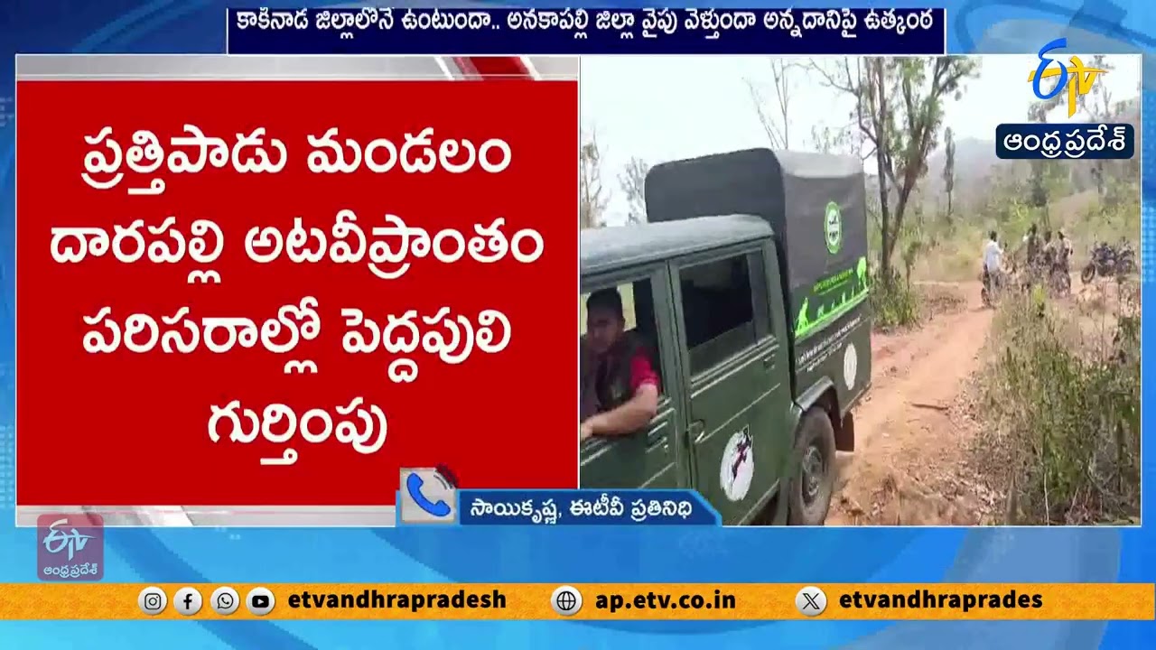 Tiger Movement Creates Panic in Kakinada Region | Forest Teams on Alert