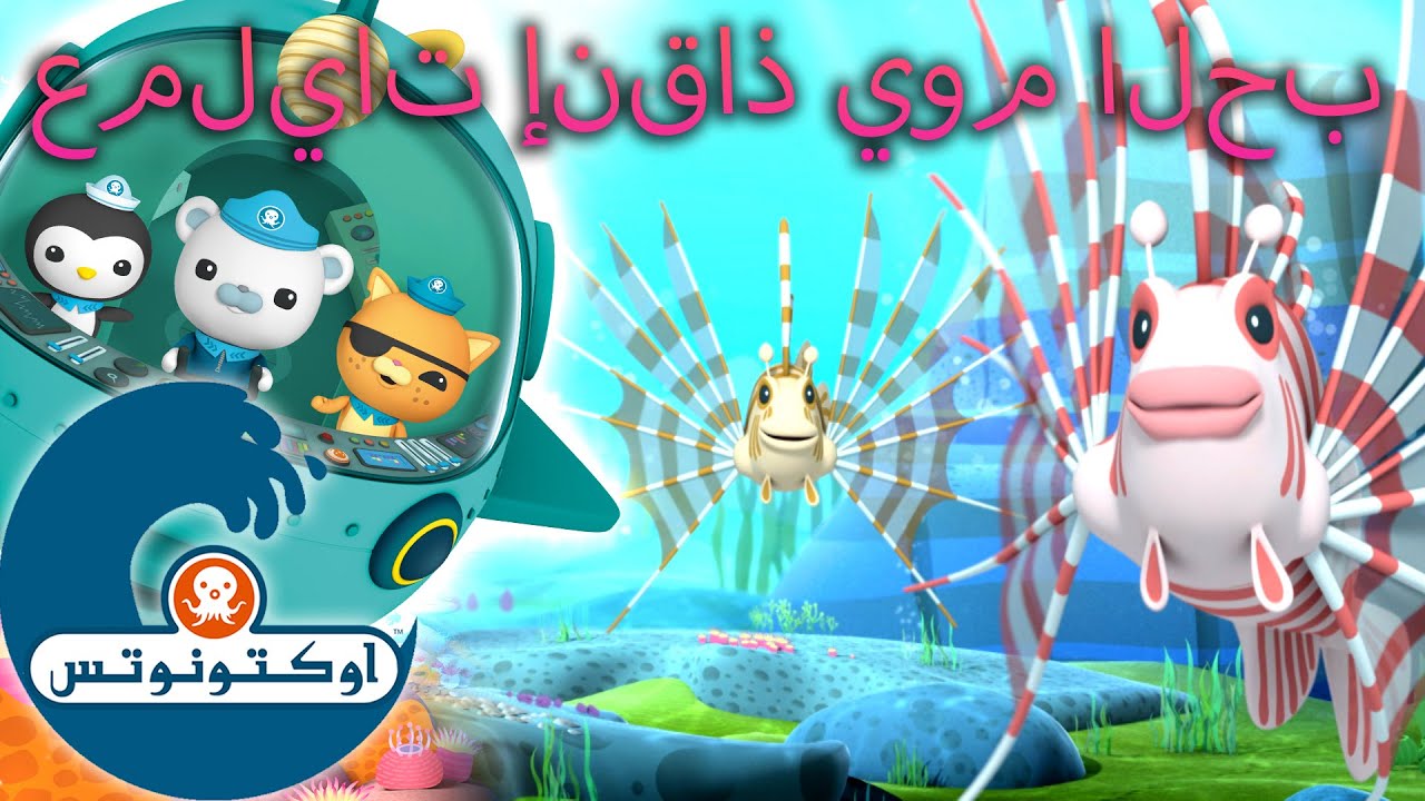 أوكتونوتس | عمليات إنقاذ يوم الحب 💝⛑️🛟 | حلقات مجمعة