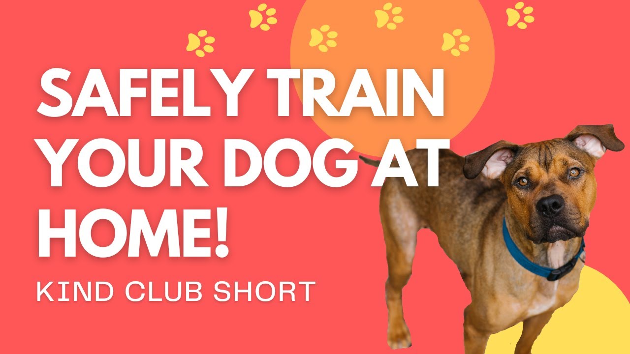 KCS: Learn How to Safely Train Your Dog