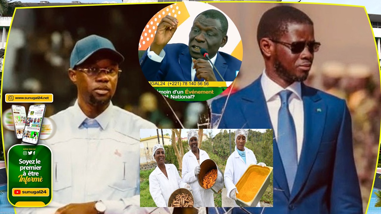 Farba Senghor d&eacute;balle tout ! 
