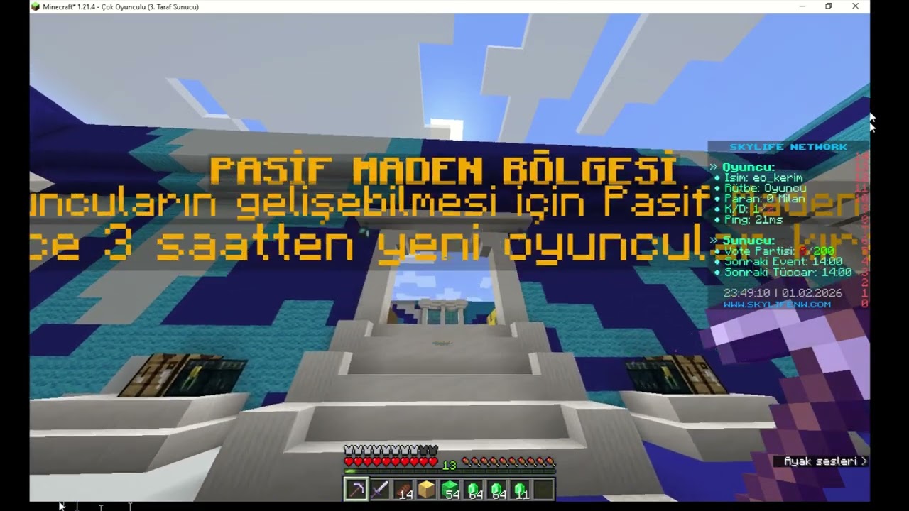 sunucu ip play.skylifenw.com