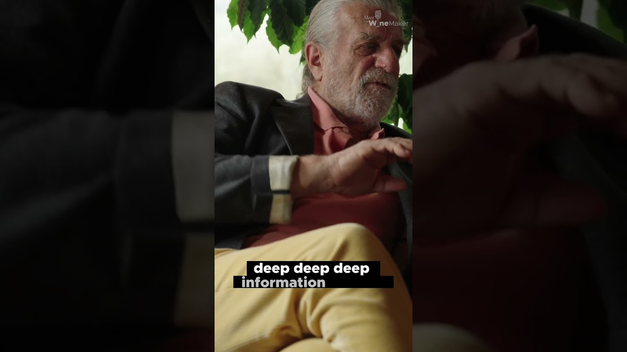 Is Nature The Key to Crafting the Perfect Vineyard..? - Podere Le Ripi