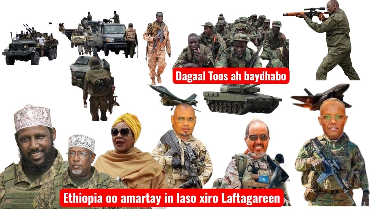 Ciidan loo diyaariyay weerar ka dhan ah Laftagareen, Mucaarad hub culus helay &ndash; Xiisad dagaal oo....