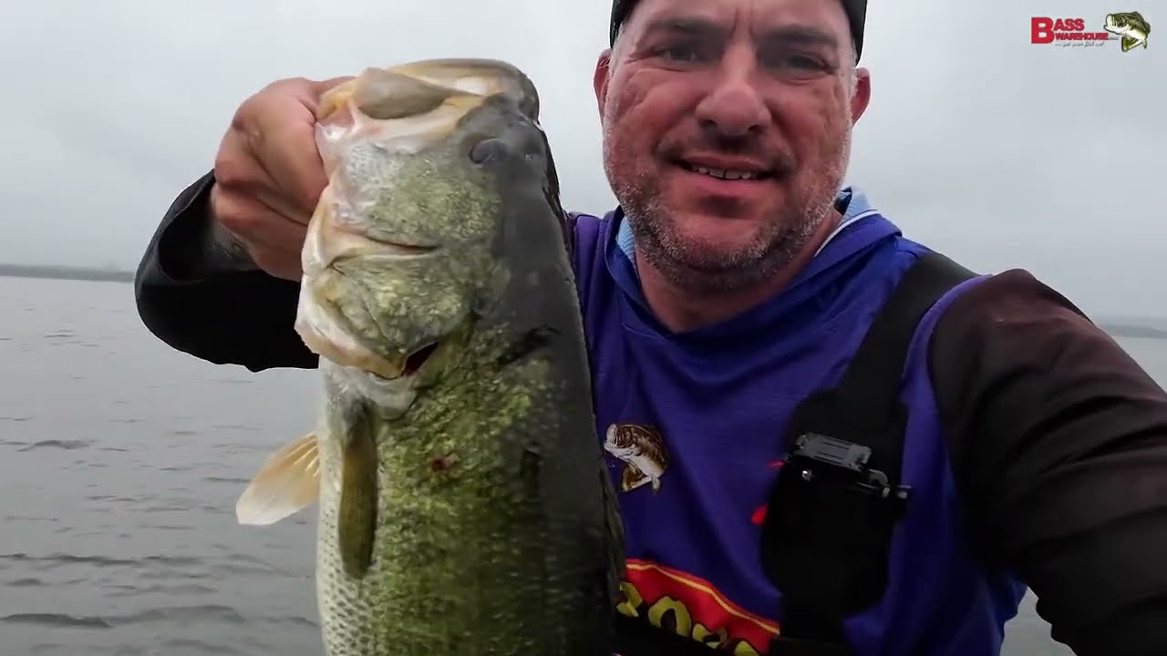 The versatility of the Z-Man Fishing Products range of Scented Jerk Shadz is unparalleled! 🔥