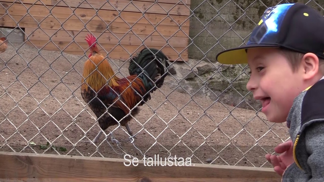 Hetkiä Vernen arjessa