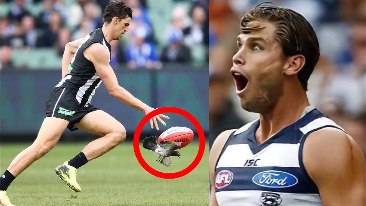 AFL 