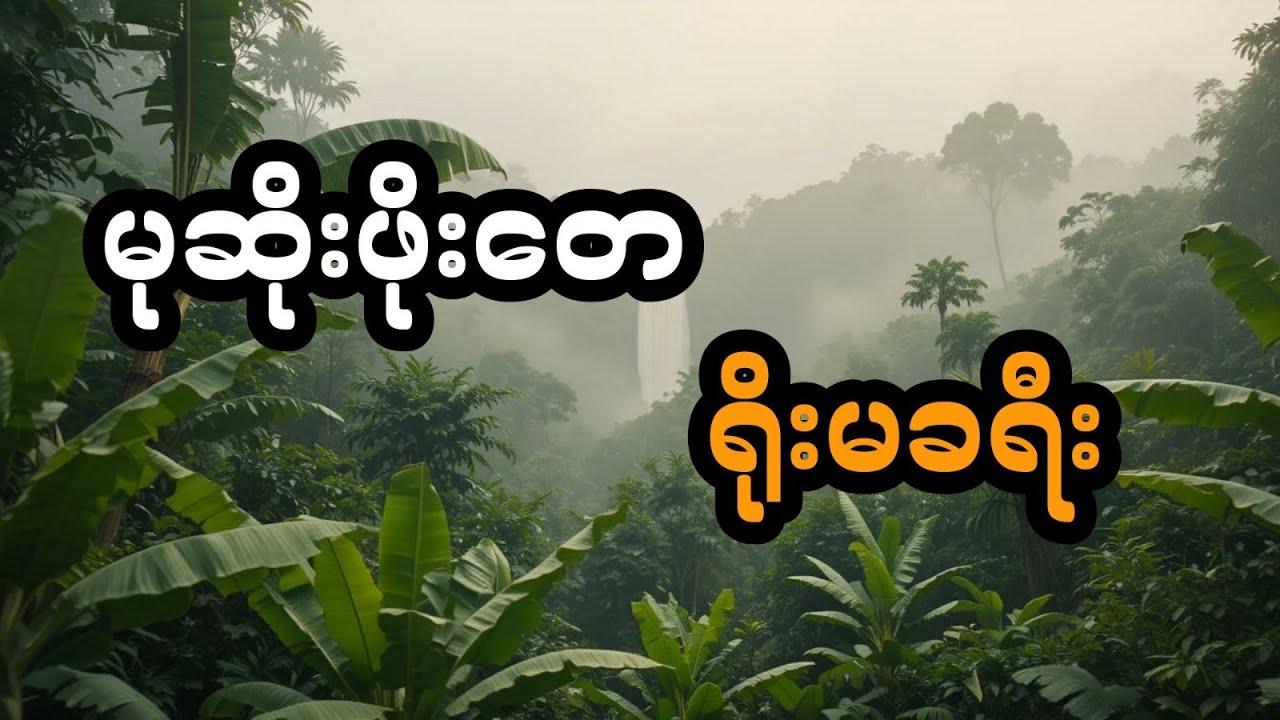 မုဆိုးဖိုးတေ ရိုးမခရီး