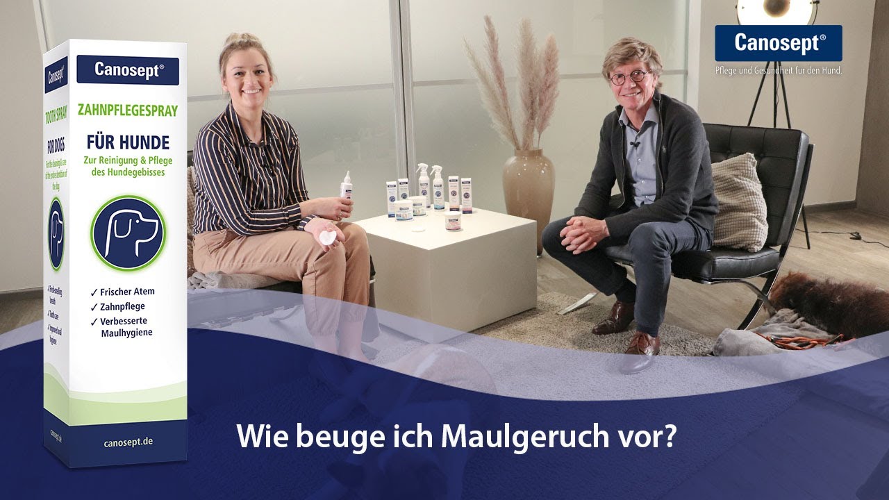 Canosept Zahnpflegespray für Hunde: Wie beuge ich Maulgeruch vor?