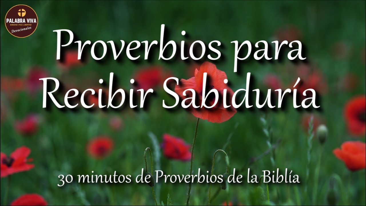 Proverbios para recibir sabiduría de parte de Dios | Biblia hablada | Bible audio