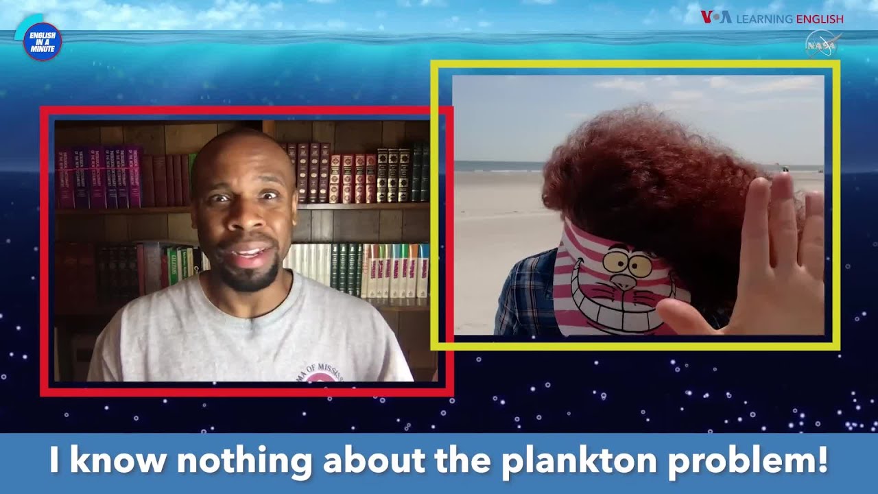 English in a Minute: Bury Your Head in the Sand