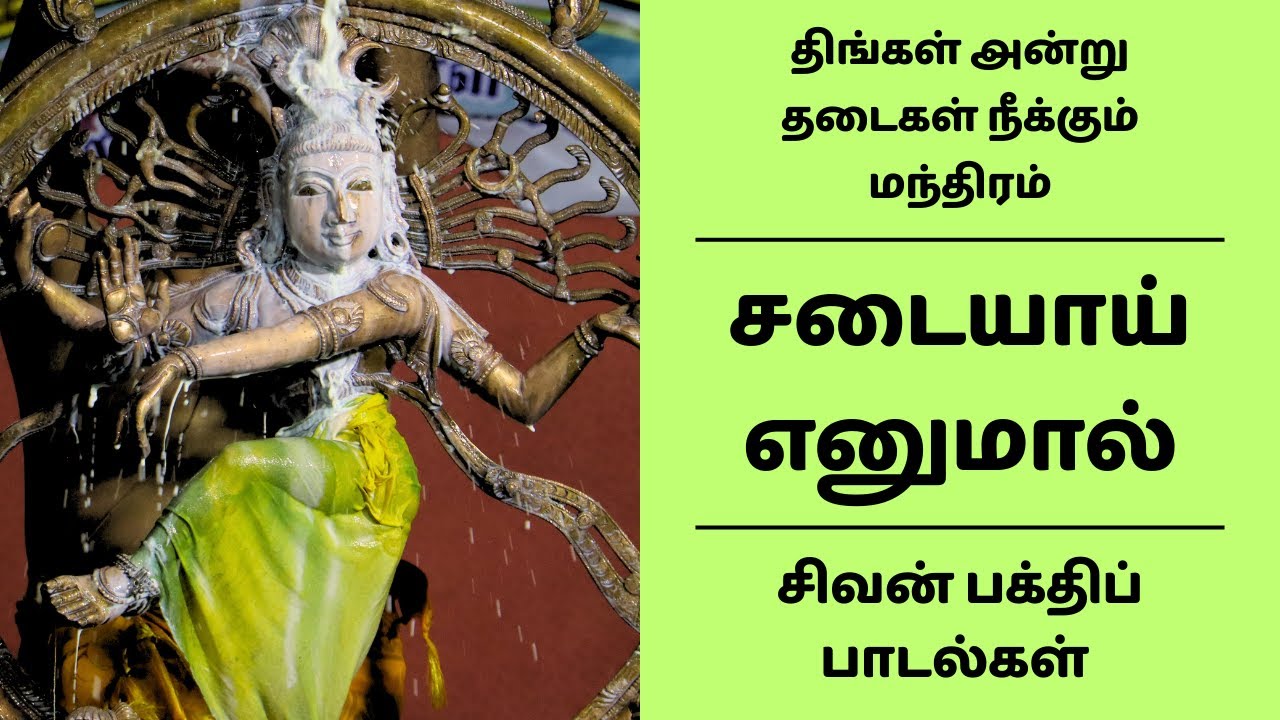 தடைகள் நீக்கும் மந்திரம் | திங்கள் அன்று கேட்க வேண்டிய சிவன் பக்தி பாடல் | சடையாய் எனுமால் பதிகம்