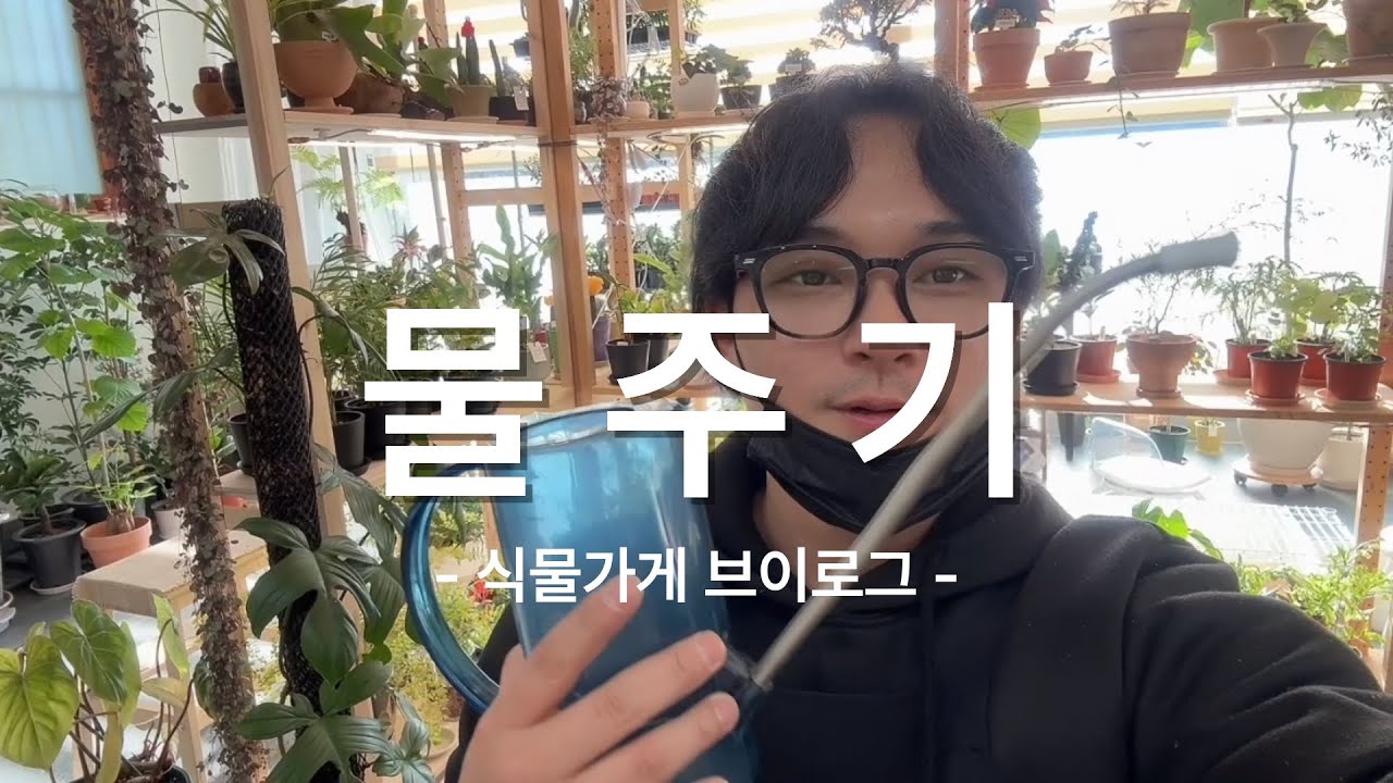 식물가게 브이로그 | 조용히 물 주는 날, 마음도 같이 적셔요