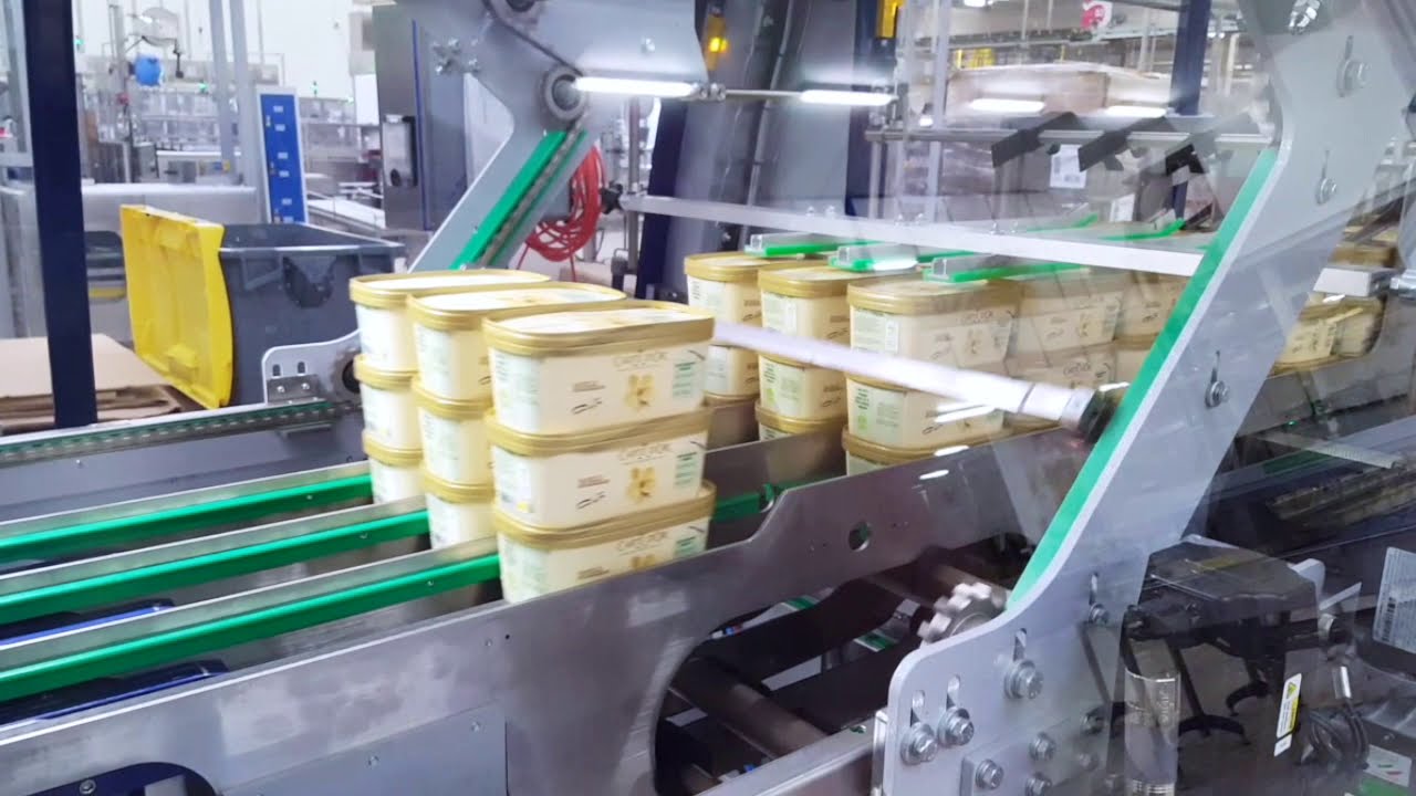 Prasmatic TC 400W combination shrink wrapper and case packer packing ice cream - Robopac USA