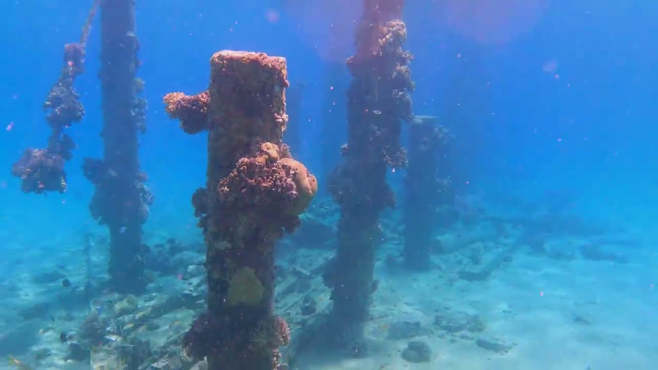 4K Кораллы возле отеля Sunrise Romance, Sahl Hasheesh, Red Sea, Hurgada. Snorkeling from beach.