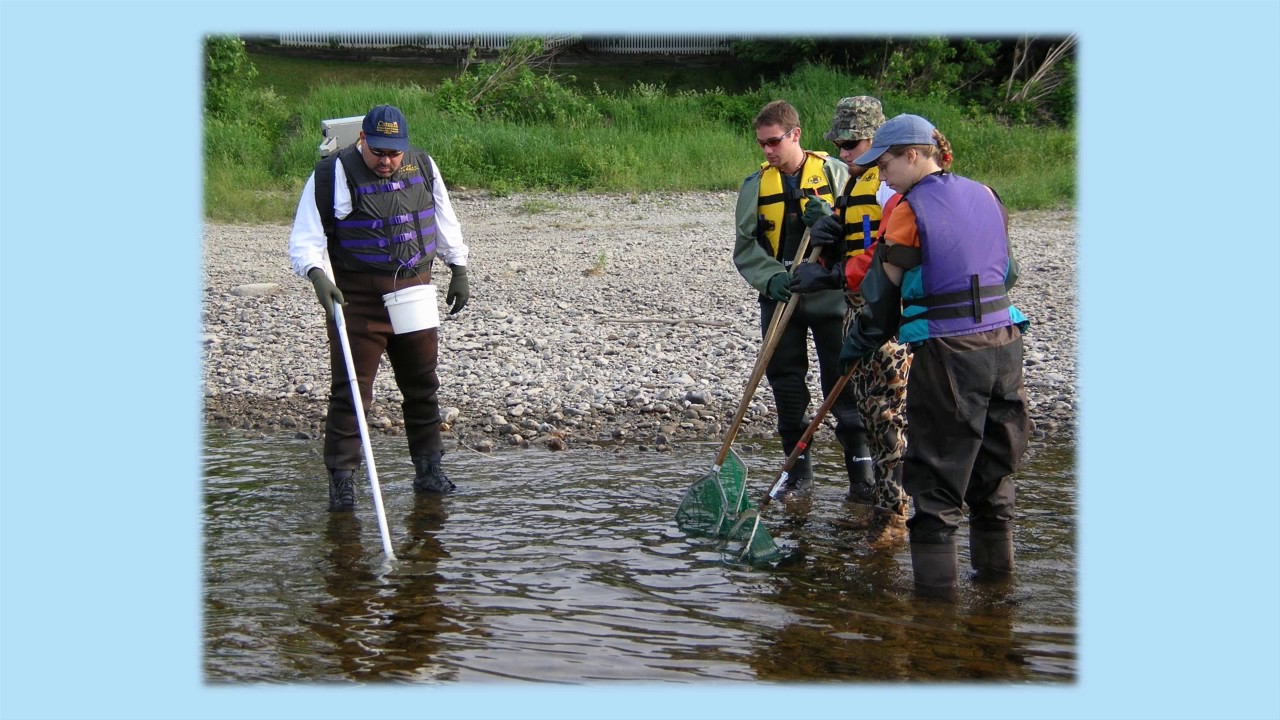 Boat & Backpack Electrofishing Course
