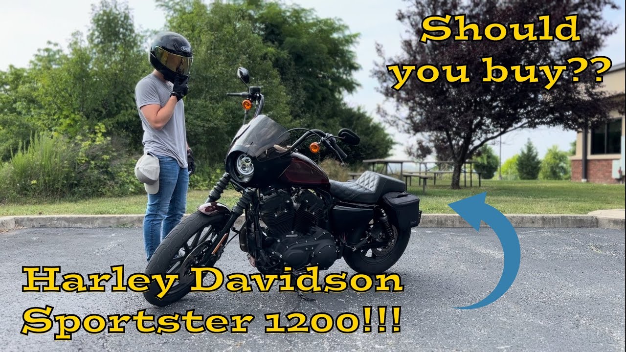 Watch this BEFORE you buy a Sportster 1200!!!