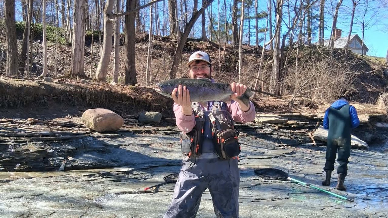 Lake erie stealhead killer day