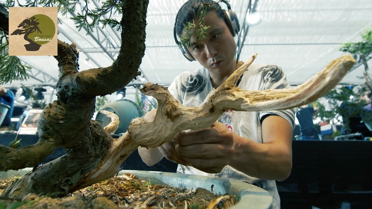 BONSAI MASTER MASASHI HIRAO / 2016 Bonsai Without Borders Global Summit #China
