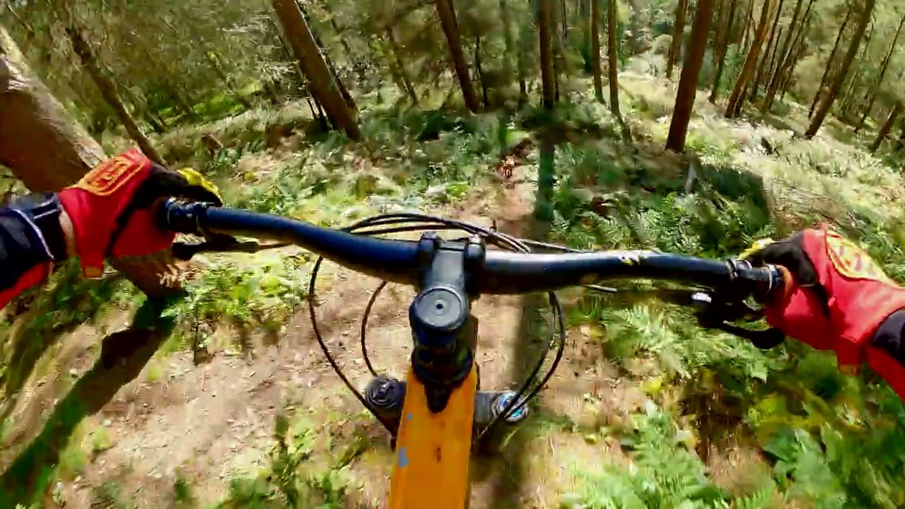 Lake District Downhill
