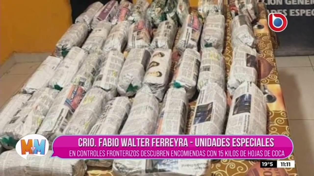 OPERATIVO LAPACHO | EN CONTROLES DE FRONTERIZOS DESCUBREN ENCOMIENDAS CON 15KG DE HOJAS DE COCA
