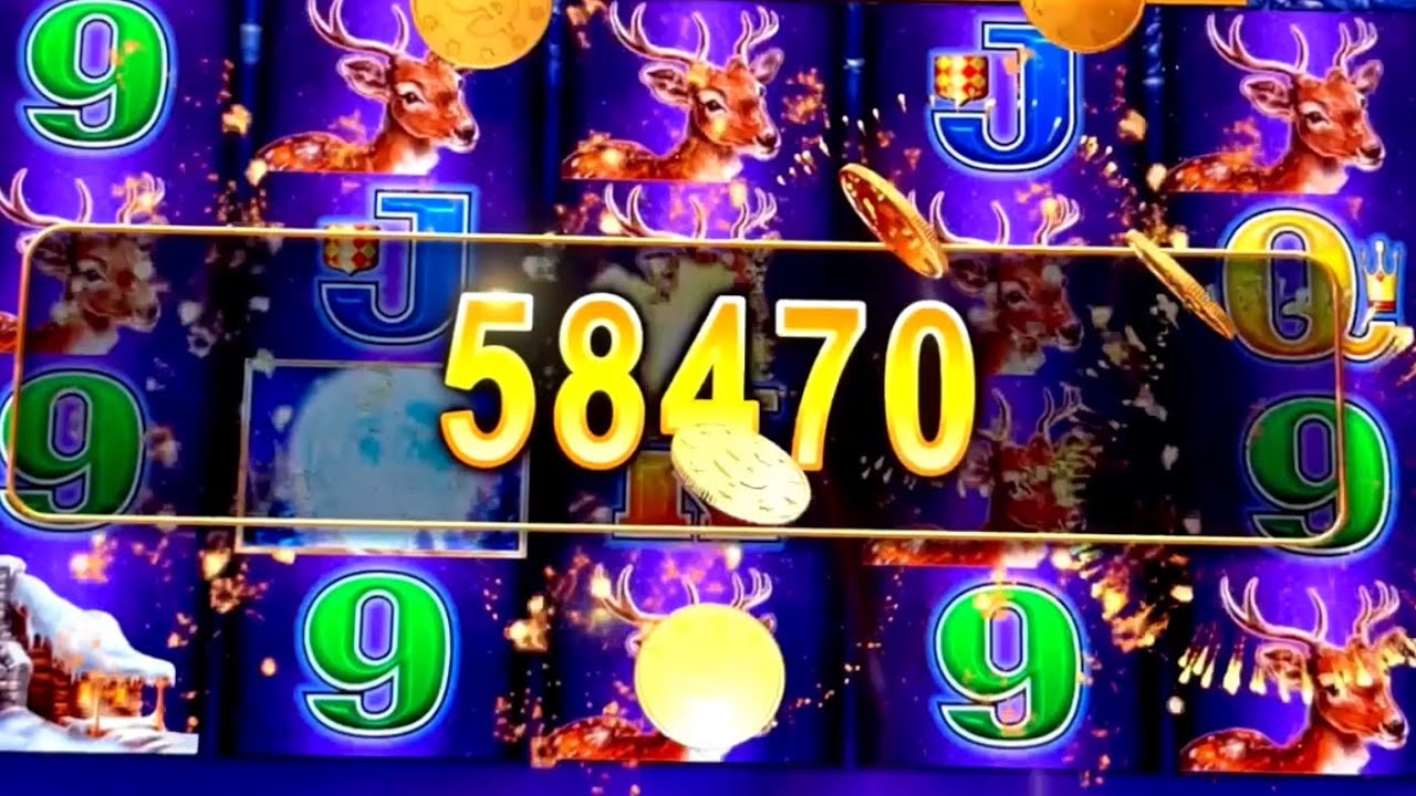 ОГРОМНОЕ ВОЗВРАЩЕНИЕ #slotman #casino #timberwolfdeluxe