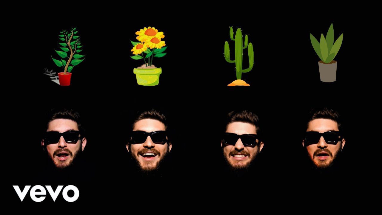 Mossify - Song About Plants (Official Music Video)