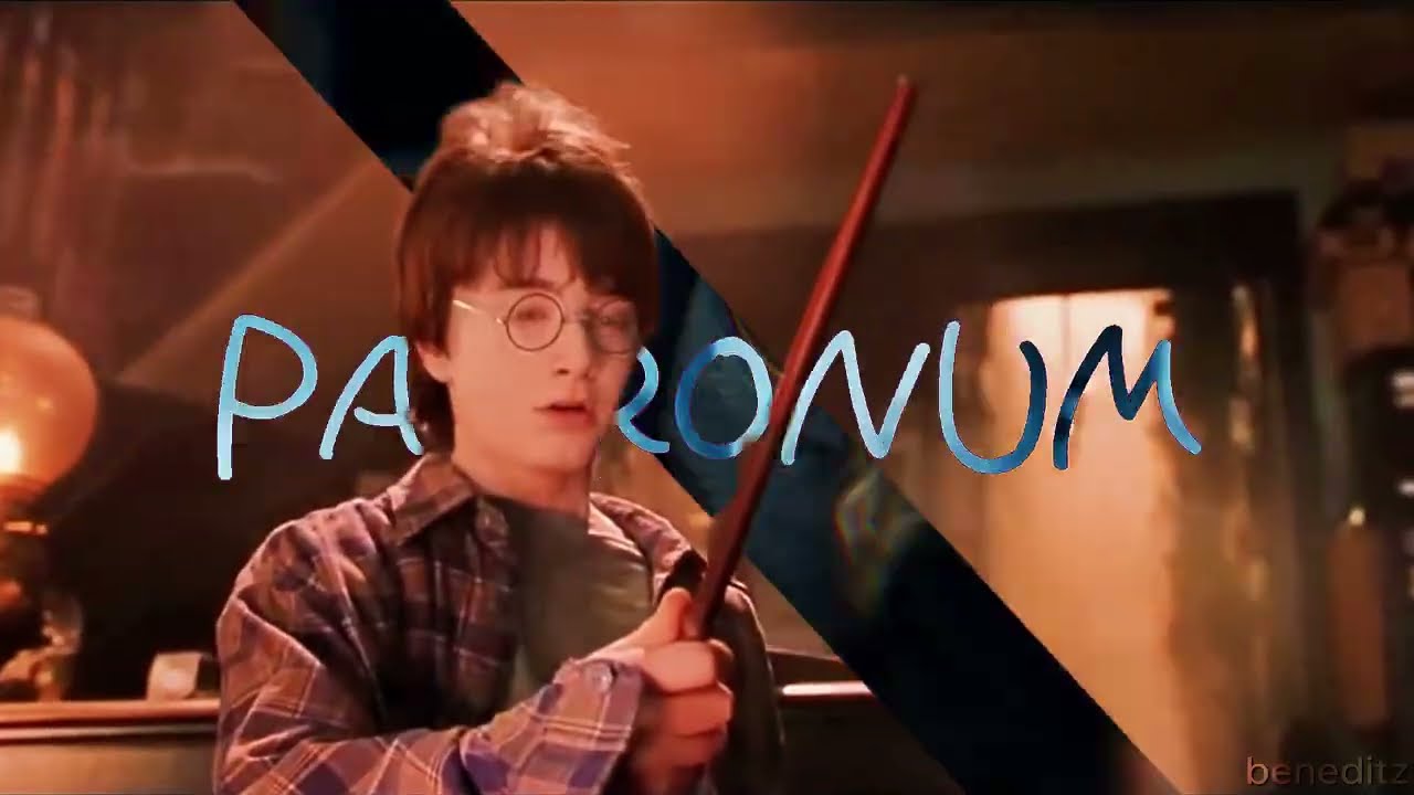 That one Harry Potter edit