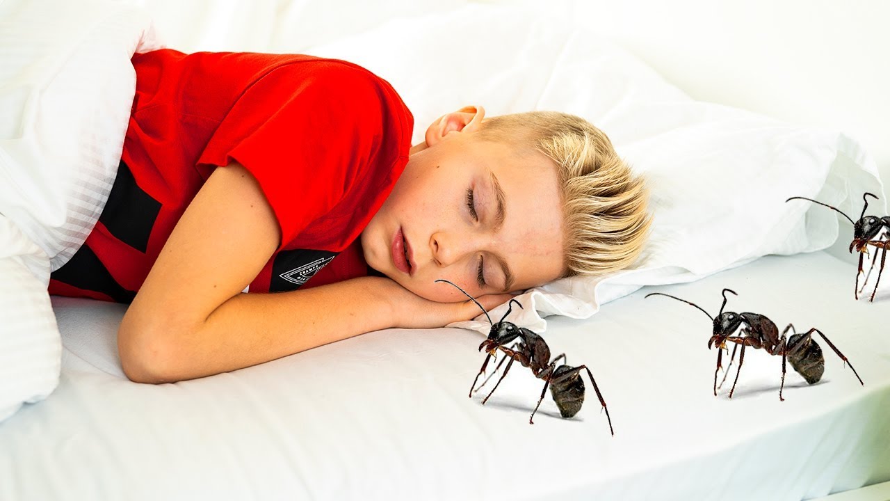 А что ЕСЛИ...Муравьи в моем доме! And what if ... Ants in my house!