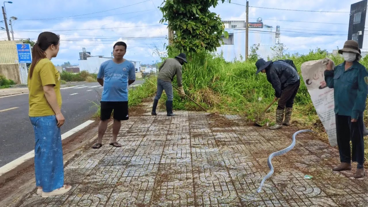 They Called Us Crazy for Cleaning the Sidewalk, But Were Happy to See Us the Next Day!