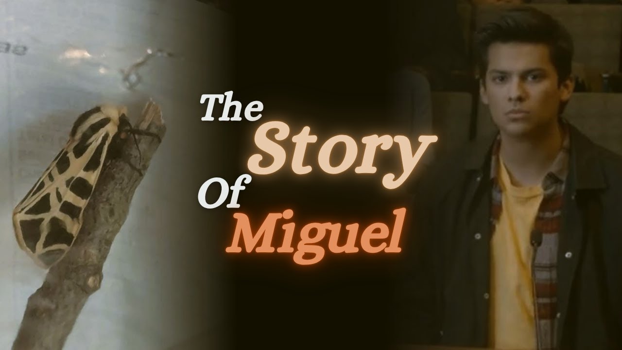The Story of the Tiger Moth Miguel