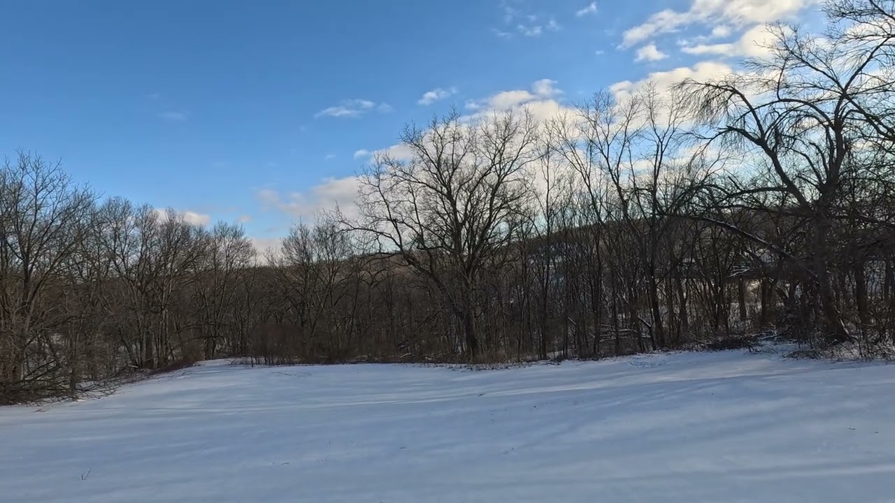 OMPHOBBY M2 V3 Sport first flight